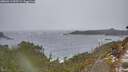 ./images/calvert/foggy-cove/20260311/foggy-cove20260311_095501M.jpg