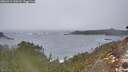 ./images/calvert/foggy-cove/20260311/foggy-cove20260311_100501M.jpg