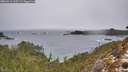 ./images/calvert/foggy-cove/20260311/foggy-cove20260311_103501M.jpg