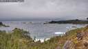 ./images/calvert/foggy-cove/20260311/foggy-cove20260311_160501M.jpg