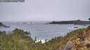 ./images/calvert/foggy-cove/20260311/foggy-cove20260311_172501M.jpg