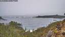 ./images/calvert/foggy-cove/20260311/foggy-cove20260311_174501M.jpg