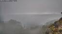./images/calvert/foggy-cove/20260312/foggy-cove20260312_082001M.jpg