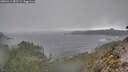 ./images/calvert/foggy-cove/20260312/foggy-cove20260312_082501M.jpg