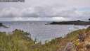 ./images/calvert/foggy-cove/20260312/foggy-cove20260312_095501M.jpg