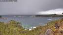 ./images/calvert/foggy-cove/20260312/foggy-cove20260312_113501M.jpg