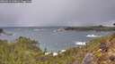 ./images/calvert/foggy-cove/20260312/foggy-cove20260312_114002M.jpg
