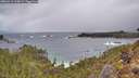 ./images/calvert/foggy-cove/20260312/foggy-cove20260312_115001M.jpg