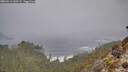 ./images/calvert/foggy-cove/20260312/foggy-cove20260312_135501M.jpg