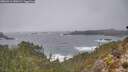 ./images/calvert/foggy-cove/20260312/foggy-cove20260312_140501M.jpg
