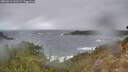 ./images/calvert/foggy-cove/20260312/foggy-cove20260312_141501M.jpg