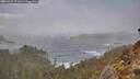 ./images/calvert/foggy-cove/20260312/foggy-cove20260312_171502M.jpg