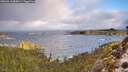 ./images/calvert/foggy-cove/20260313/foggy-cove20260313_085001M.jpg