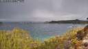 ./images/calvert/foggy-cove/20260313/foggy-cove20260313_103001M.jpg