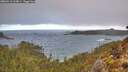 ./images/calvert/foggy-cove/20260313/foggy-cove20260313_113001M.jpg