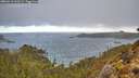 ./images/calvert/foggy-cove/20260313/foggy-cove20260313_113501M.jpg