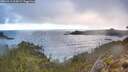 ./images/calvert/foggy-cove/20260313/foggy-cove20260313_114501M.jpg