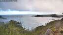 ./images/calvert/foggy-cove/20260313/foggy-cove20260313_115501M.jpg