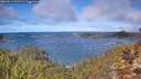 ./images/calvert/foggy-cove/20260313/foggy-cove20260313_122501M.jpg