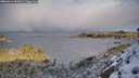 ./images/calvert/foggy-cove/20260314/foggy-cove20260314_092001M.jpg