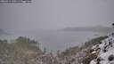 ./images/calvert/foggy-cove/20260314/foggy-cove20260314_100501M.jpg
