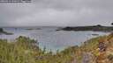 ./images/calvert/foggy-cove/20260314/foggy-cove20260314_141002M.jpg