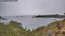 ./images/calvert/foggy-cove/20260314/foggy-cove20260314_142501M.jpg