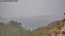 ./images/calvert/foggy-cove/20260314/foggy-cove20260314_144501M.jpg