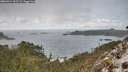 ./images/calvert/foggy-cove/20260314/foggy-cove20260314_152501M.jpg