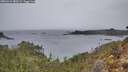 ./images/calvert/foggy-cove/20260315/foggy-cove20260315_080501M.jpg