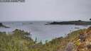 ./images/calvert/foggy-cove/20260315/foggy-cove20260315_081501M.jpg