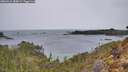./images/calvert/foggy-cove/20260315/foggy-cove20260315_084001M.jpg