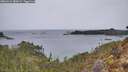 ./images/calvert/foggy-cove/20260315/foggy-cove20260315_085001M.jpg