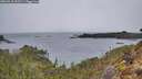 ./images/calvert/foggy-cove/20260315/foggy-cove20260315_092501M.jpg
