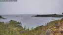 ./images/calvert/foggy-cove/20260315/foggy-cove20260315_093001M.jpg