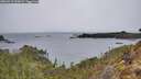 ./images/calvert/foggy-cove/20260315/foggy-cove20260315_095001M.jpg