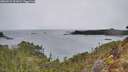 ./images/calvert/foggy-cove/20260315/foggy-cove20260315_101002M.jpg