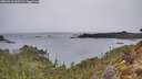 ./images/calvert/foggy-cove/20260315/foggy-cove20260315_101501M.jpg