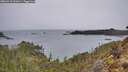 ./images/calvert/foggy-cove/20260315/foggy-cove20260315_102001M.jpg