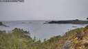 ./images/calvert/foggy-cove/20260315/foggy-cove20260315_102501M.jpg