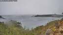 ./images/calvert/foggy-cove/20260315/foggy-cove20260315_104502M.jpg