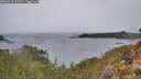 ./images/calvert/foggy-cove/20260315/foggy-cove20260315_105501M.jpg