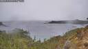 ./images/calvert/foggy-cove/20260315/foggy-cove20260315_111501M.jpg