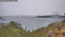 ./images/calvert/foggy-cove/20260315/foggy-cove20260315_112501M.jpg