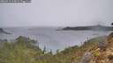 ./images/calvert/foggy-cove/20260315/foggy-cove20260315_113001M.jpg