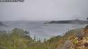 ./images/calvert/foggy-cove/20260315/foggy-cove20260315_113501M.jpg