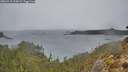 ./images/calvert/foggy-cove/20260315/foggy-cove20260315_115002M.jpg