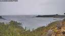 ./images/calvert/foggy-cove/20260315/foggy-cove20260315_120501M.jpg