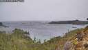 ./images/calvert/foggy-cove/20260315/foggy-cove20260315_124501M.jpg