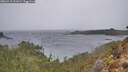 ./images/calvert/foggy-cove/20260315/foggy-cove20260315_131001M.jpg